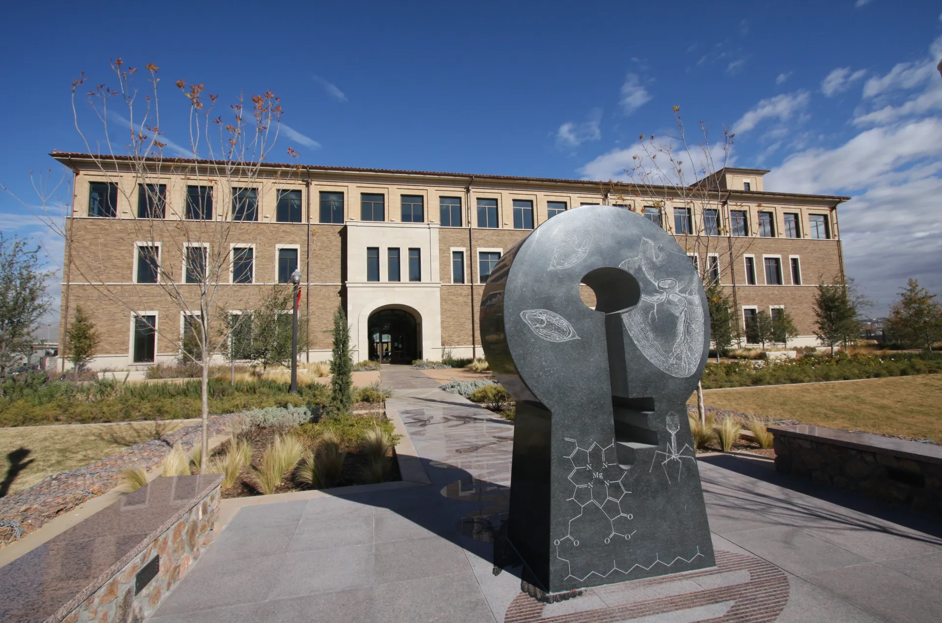 Paul L. Foster School of Medicine